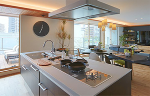 いろんな家を覗けちゃう！